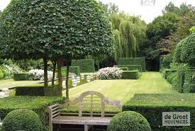 tuin'
