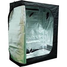 kweektent 100x100x180