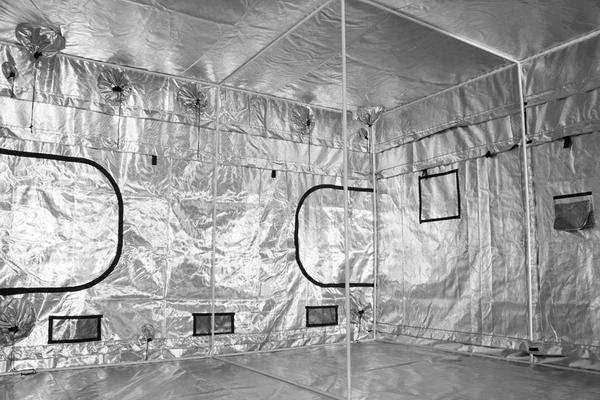 gorilla grow tent kopen