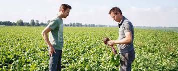 landbouw in nederland