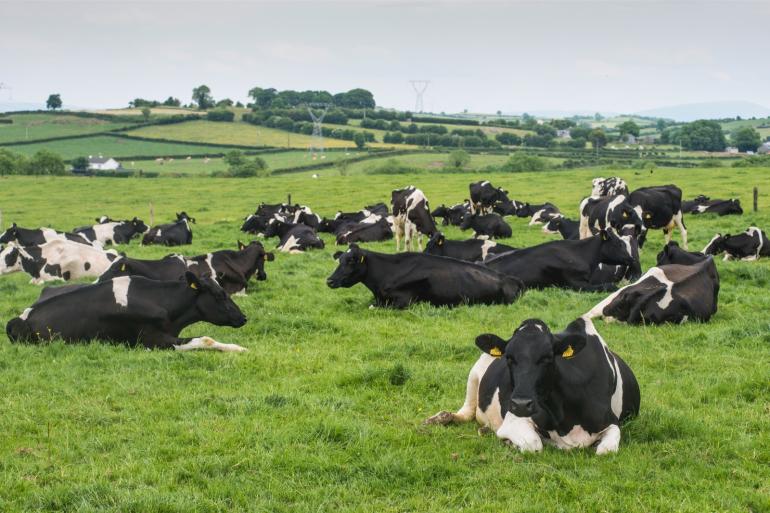 landbouw en veeteelt